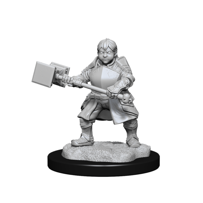 CRUPM01 027 Female Dwarf Fighter Low Level UPM HiresRender