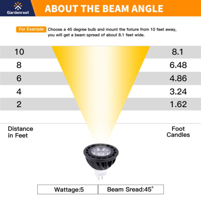 mr16 bean angle