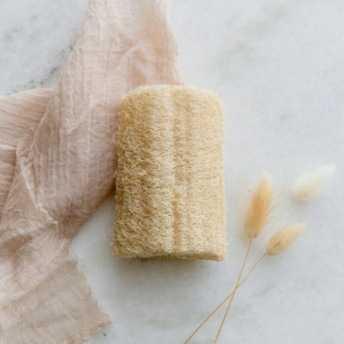 zero waste store single loofah scrubber zero waste loofah plastic free compostable 30751884476527